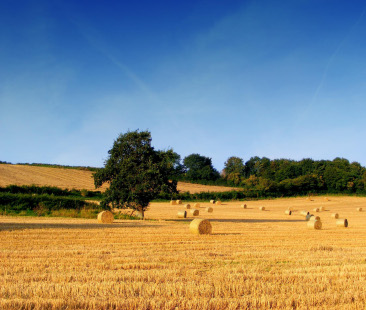 AgriSicilia, la spesa è mal spesa AgriSicilia, la spesa è mal spesa