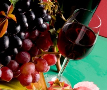 Vino biologico, su qualità ed ecosostenibilità Italia batte UE