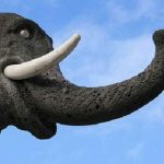 Catania – Parte la corsa per le Comunali, tra volti nuovi e usato garantito