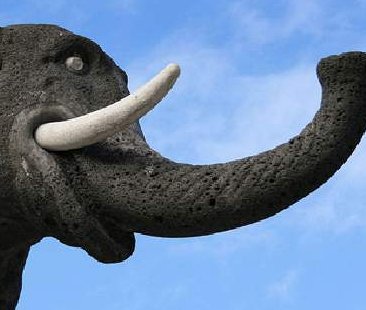 Catania – Parte la corsa per le Comunali, tra volti nuovi e usato garantito Catania – Parte la corsa per le Comunali, tra volti nuovi e usato garantito