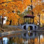 Le sfumature dell’autunno. Dal Giappone al Quebec fino al nostro Trentino