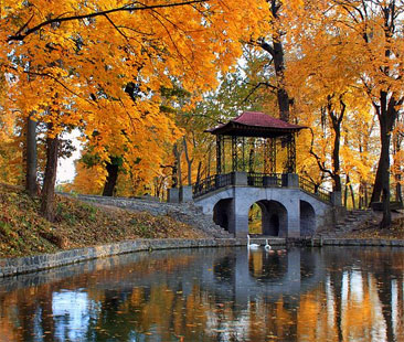 Le sfumature dell’autunno. Dal Giappone al Quebec fino al nostro Trentino