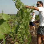 Beni confiscati alla mafia: rischio default