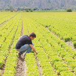 Se zappare la terra significa riappropriarsi del lavoro