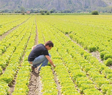 Se zappare la terra significa riappropriarsi del lavoro