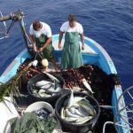 Palermo – Rilanciare il settore della pesca con un gruppo per l’intero golfo