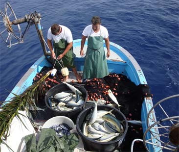Palermo – Rilanciare il settore della pesca con un gruppo per l’intero golfo Palermo – Rilanciare il settore della pesca con un gruppo per l’intero golfo