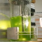 Green economy, 460 milioni di euro per progetti e interventi giovanili