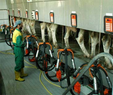 Come la Lega si è bevuta l’Imu