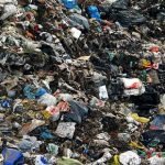 Compostaggio, ecco tutti i vantaggi