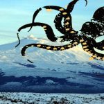 Beni mafiosi ignorati dai sindaci