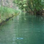 Inquinamento delle acque, pronta nuova procedura contro la Sicilia