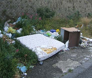 Termovalorizzatori: angeli o demoni? Viaggio nella produzione di energia