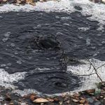 Rifiuti: Bellolampo, scandalo in Ue