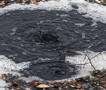 Rifiuti: Bellolampo, scandalo in Ue Rifiuti: Bellolampo, scandalo in Ue