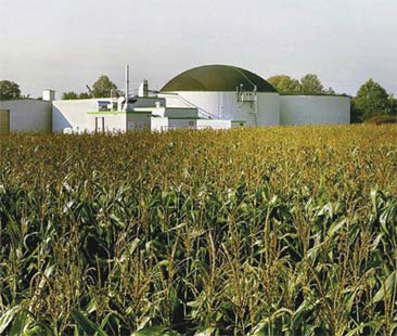 Biomasse, progetto pilota nell’Isola