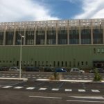 Palermo – Amia, falsificazione dei bilanci per aumentarsi i compensi