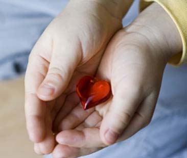 Donazioni organi in aumento. In Sicilia +237% di casi in 6 anni