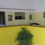 Palermo – Truffa delle poste private, sequestrate 72 agenzie