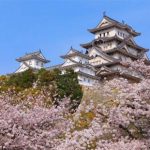 Primavera in Giappone, il Paese del Sol Levante si veste dei petali dei fiori di ciliegio