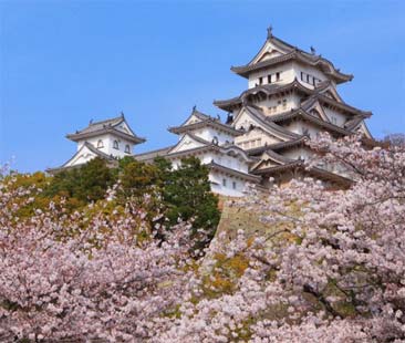 Primavera in Giappone, il Paese del Sol Levante si veste dei petali dei fiori di ciliegio Primavera in Giappone, il Paese del Sol Levante si veste dei petali dei fiori di ciliegio