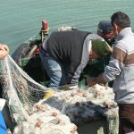 Pescatori siciliani con l’acqua alla gola
