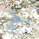 Percolato e immondizia stanno avvelenando l’Isola