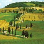 Passeggiata nel pistoiese, tra riserve naturali, borghi medievali, buoni vini e parchi tematici