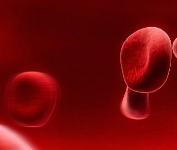 Emofilia: assistenza precaria. Dalle Isole 500 km per curarsi Emofilia: assistenza precaria. Dalle Isole 500 km per curarsi