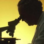 Maggiori controlli sugli alimenti “inadatti al consumo umano”