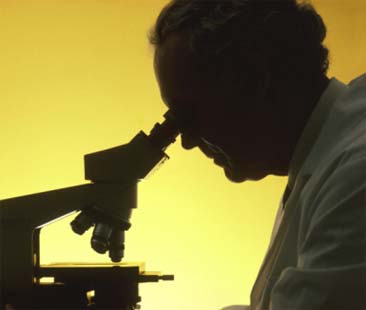 Maggiori controlli sugli alimenti “inadatti al consumo umano”