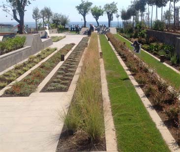 Catania – L’altra faccia di piazza Europa Catania – L’altra faccia di piazza Europa