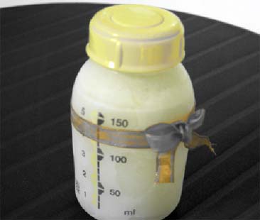 Banche del latte: in Sicilia distribuzione troppo disomogenea