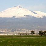 Agricoltura: ancora in cerca della ripresa. Fare rete per uscire dalle secche della crisi