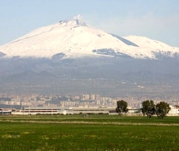 Agricoltura: ancora in cerca della ripresa. Fare rete per uscire dalle secche della crisi