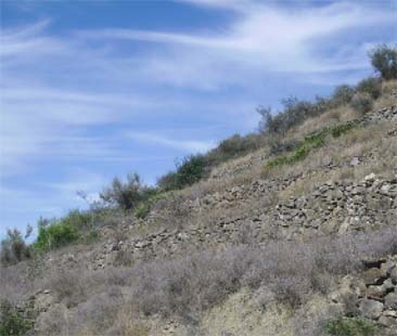 120 mln, si irriga solo metà Sicilia