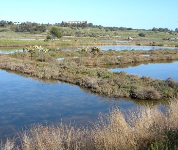 Siracusa – Saline del fiume Mulinello ad Augusta, alt alla cementificazione