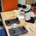 Archimede è emigrato in Lombardia