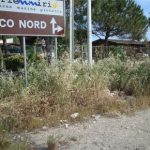 L’area protetta del Plemmirio a Siracusa è devastata. Degrado inaccettabile, il direttore lascia