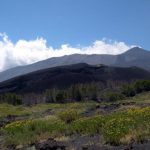 Parchi siciliani isolati sul web