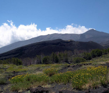 Parchi siciliani isolati sul web