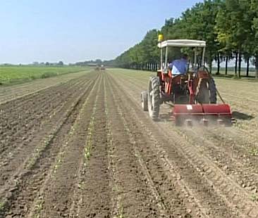 Psr 2013, in ripubblicazione bando per Gal