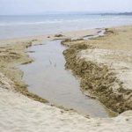 Senza depuratori il mare soffoca