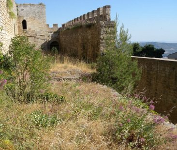 Il grave degrado del castello di Lombardia e la Torre di Federico in condizioni critiche