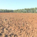 La Commissione Ue non stanzierà 4,9 mln € per irregolarità in Sicilia