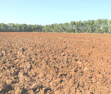 La Commissione Ue non stanzierà 4,9 mln € per irregolarità in Sicilia