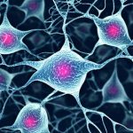 Epilessia: in Sicilia colpisce  l’1% della popolazione