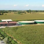 Biomasse, il tesoro ignorato