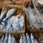 Sicurezza degli alimenti nel palermitano 89 veterinari controllano 6.500 strutture