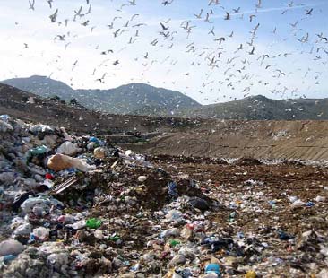 Gli impianti di produzione d’energia sono diffusi anche negli Stati Uniti